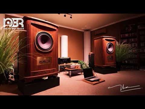 Hi End Sound Test - Audiophile Choice 2024 - Natural Beat Records