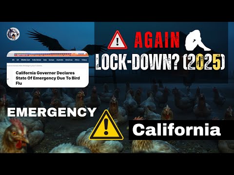 California Governor Declares State Of Emergency | Bird Flu in California | Midnight Archives | #7