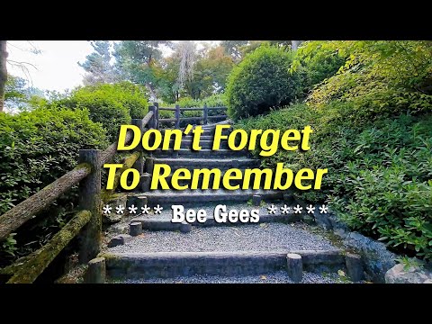 DON'T FORGET TO REMEMBER - (Karaoke Version) - in the style of Bee Gees