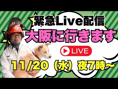 緊急Live！今週末に大阪行きます