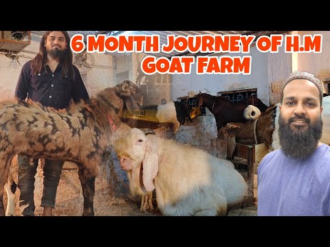 6 MONTH JOURNEY OF H.M GOAT FARM 🐐 PALAI RESULTS AND GOAT FARM TOUR