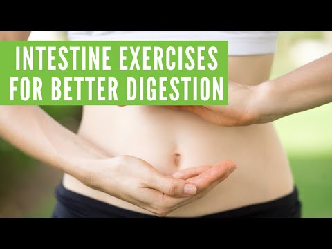 Intestine Exercises for Better Digestion