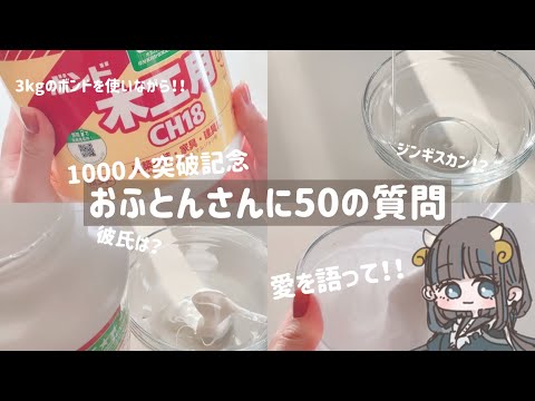 [1000人様突破記念]おふとんに約50の質問！