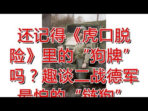 还记得《虎口脱险》里的“狗牌”吗？趣谈二战德军最怕的“链狗”