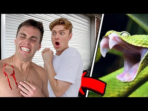 A Snake ATTACKED Me!