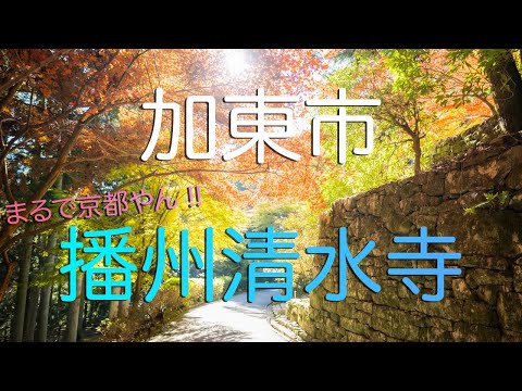 【兵庫県加東市】小京都・播州清水寺の極上紅葉散歩| 兵庫観光旅行vlog | Kiyomizu-dera Temple in Kato City, Hyogo (Banshu).