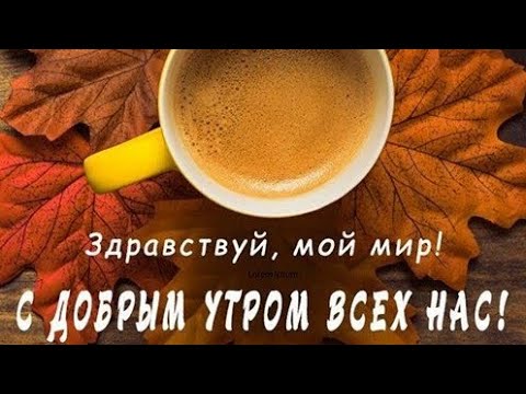 Теплого осеннего утра!!! 🍂🍁🌼