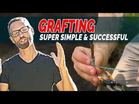 Learn How To Graft + Save Money