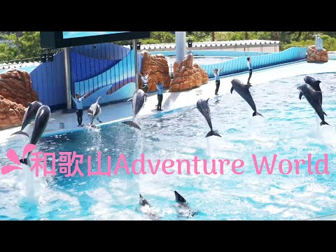 日本和歌山Wakayama, Japan｜和歌山Adventure World 動物遊樂園 冒險大世界