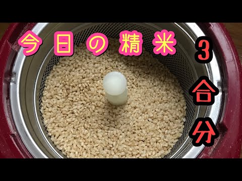 【精米vlog】玄米から白米へ　3合