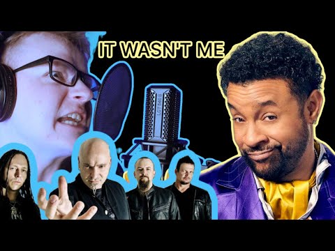 if Disturbed wrote "IT WASN'T ME" by Shaggy