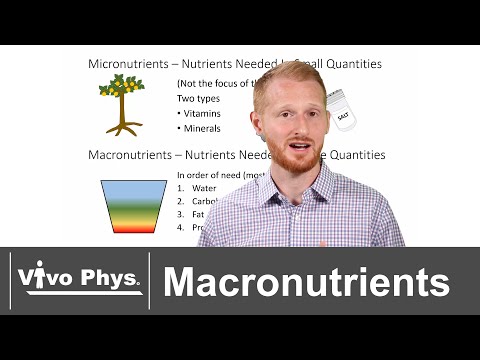 The Four Macronutrients