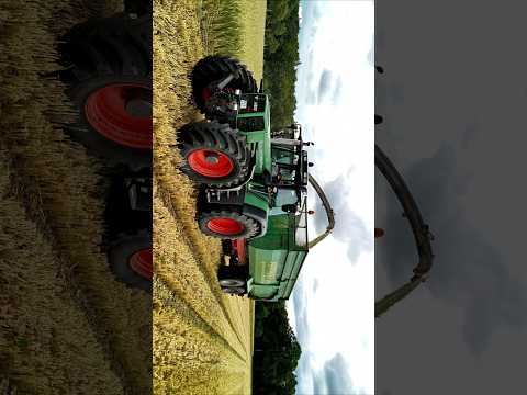 Fendt 2024 #fendt #agriculture #farming #landwirtschaft #tractor #lpgostharz #fyag