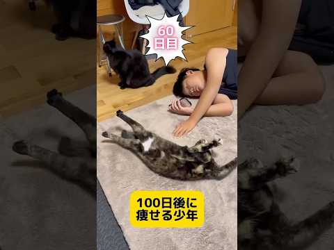 100日後に痩せる男　#猫 #japan #diet