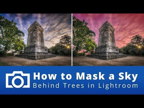 How to Mask a Sky Behind Trees in Lightroom