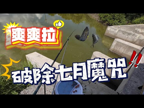 【趕海】終於拉爽爽，打破七月魔咒 #趕海豪日子 #枕頭麻手作設計坊 #fishinglife #釣魚#七股#吳郭魚#羅飛魚