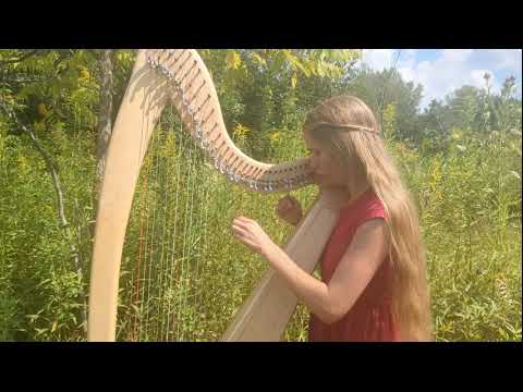 Winnie the Pooh: Harp Cover