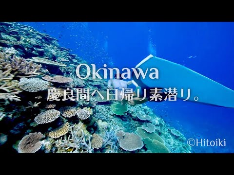 慶良間でシュノーケリング：Tropical Underwater World in Kerama, Okinawa