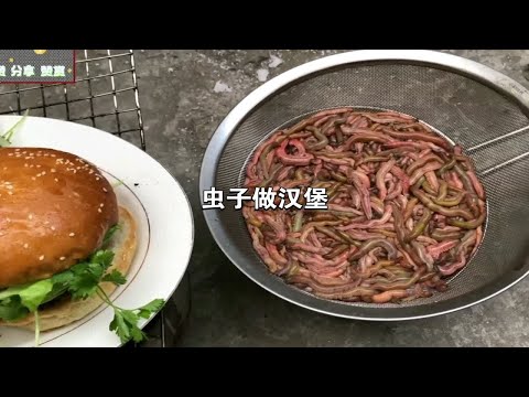 虫子做的汉堡，不用问就知道你没吃过！重口味的虫子制作汉堡的……