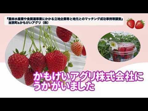 イチゴが結ぶ縁～かもけいアグリ（株）インタビュー 【食関連企業立地事例紹介…第1弾　かもけいアグリ(株)＆当別町役場】