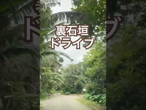 【石垣島】裏石垣ドライブ #石垣島 #石垣島旅行