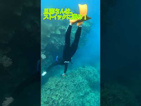 【石垣島】えっ!?雨なんて関係ありません♪12月22日シュノーケリングツアー動画