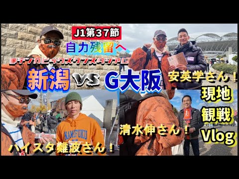 【サッカー観戦Vlog】ホーム最終戦で自力残留をと願った日【J1第37節/アルビレックス新潟vsガンバ大阪】