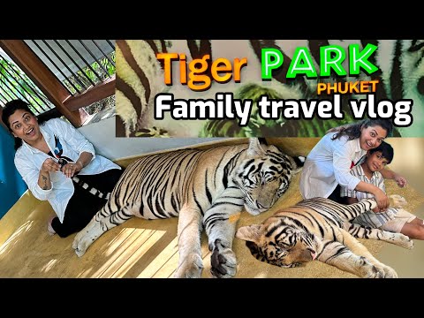 Tiger park | photos with tiger 🐯 🐅 in Phuket Thailand | roarsome fun #tigerpark #kidstravel #thai