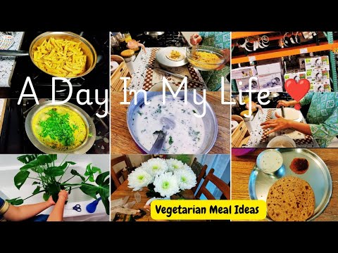 📢 Realistic Productive Routine of a Indian Working Mom | Sattu Paratha, Mooli Raita | California