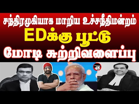 சந்திரமுகியாக மாறிய உச்சநீதிமன்றம்! ED க்கு பூட்டு! மோடி சுற்றிவளைப்பு | THUPPARIYUM SHAMBU