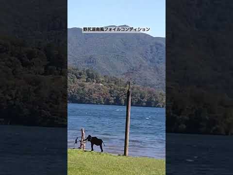 ある日の野尻湖風景