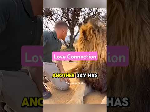 "Love Connection: Harmony Between Humans and Large Animals" #HumanAnimalBond #HarmonyInNature