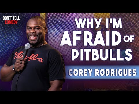 Why I'm Afraid of Pit Bulls | Corey Rodrigues | Stand Up Comedy