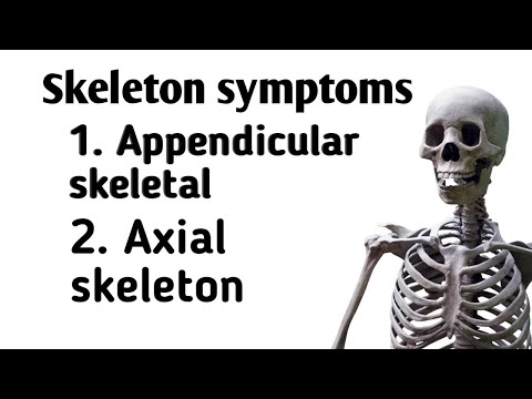 Skeleton Skeleton System (Appendicular Skeletal and Axial Skeletal)