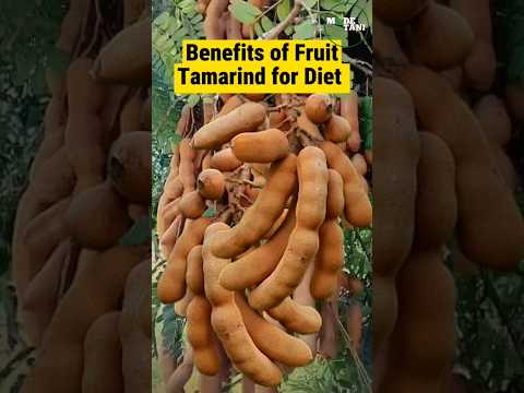 TAMARIND FRUIT HELPS FASTER DIET PROGRAM #diet #fruit