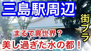 【まるで異世界？】静岡県「三島駅」周辺を散策！美しすぎた水のエリア、観光地、独特な都市形成が興味深かった！