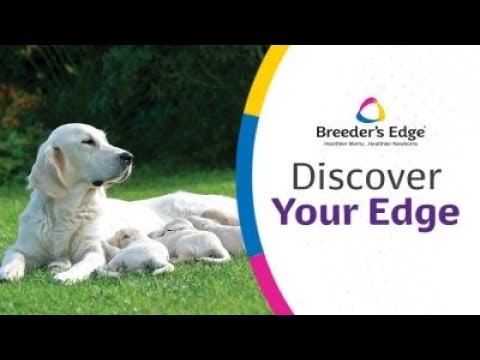 Discover Your Edge for Cat & Dog Reproduction