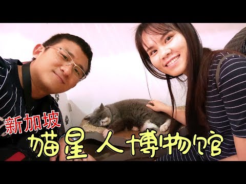 新加坡猫星人博物馆 黄蓝眼猫 | BananaMilkyTV