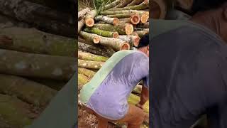 Summary of young man using wood industry #woodindustry  #woodworkings  #woodworking  #shorts