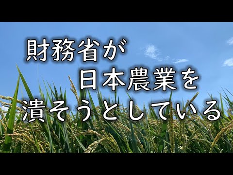 財務省が、日本農業を潰そうとしている　#米 #お金 #令和の米騒動 #農業 #財務省 #財務省解体　#ゆっくり解説