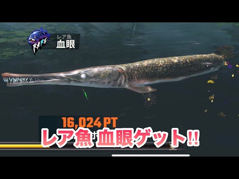 白目と歯が怖すぎなレア魚…‼︎釣りの達人