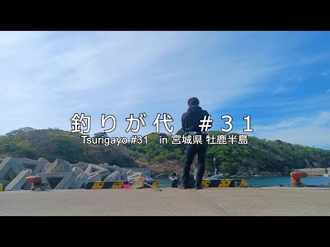 #31 東北遠征！牡鹿半島の堤防でフカセ釣り｜in 宮城県 牡鹿半島｜4K動画