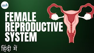 Reproduction - Lesson 04 | Female Reproductive System - in Hindi (हिंदी में ) | Don't Memorise