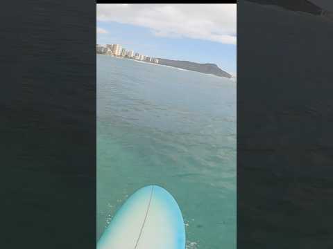 Fun right #povsurfing #gopro #waikiki