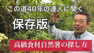 自然薯の探し方　コツさえ解れば初心者でも見つけられます