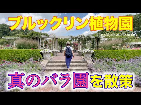 【バラ園】Cranford Rose Garden @BrooklynBotanicGarden ブルックリン植物園にある有名バラ園に行ってみた。