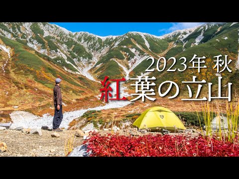 【紅葉の立山】今年もすごい！テント泊で贅沢な時間を過ごす紅葉の立山