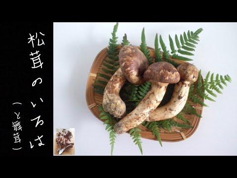 【キノコのお勉強】和のキノコ王様松茸の美味しい調理法