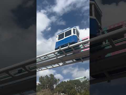 一度はここに行ってほしい✨釜山📍海雲台ブルーラインパーク🚃2号線中洞駅7番出口徒歩約16分「スカイカプセル」という小さな電車に乗りたかったけど満席😢#韓国旅行#韓国情報#スカイカプセル#釜山旅行