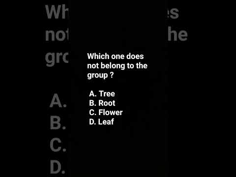 odd one out mcqs question